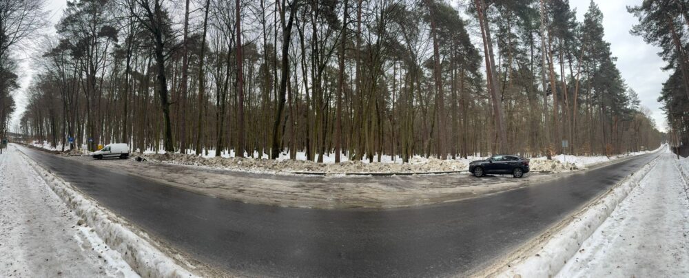 Львівська міськрада не дозволить вирубку лісу на Лікарській у Брюховичах