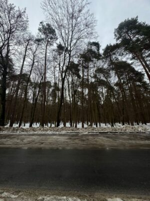 “Це екологічна диверсія”: мешканці Брюховичів виступили проти забудови понад 14 га лісу на Лікарській (фото, відео)