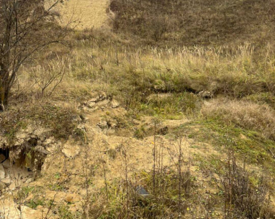 На Львівщині виявили незаконний видобуток піску поблизу лісу