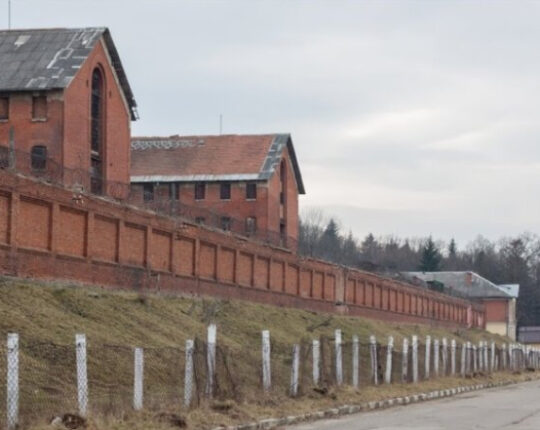 Жінка намагалася передати засудженому  в Дрогобицьку колонію спирт у контрацептивах