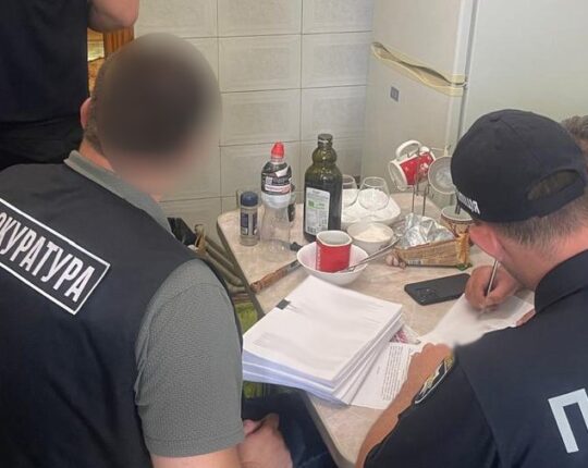 На Львівщині судитимуть колишню посадовицю та її чоловіка за привласнення грошей програми “Муніципальна няня”