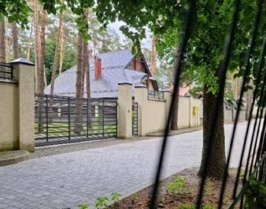 Прокуратура програла суд за ще одну ділянку в Брюховицькому лісі