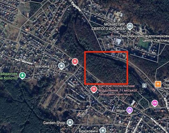 Прокуратура розслідує захоплення 3,9 га лісових земель у Брюховичах