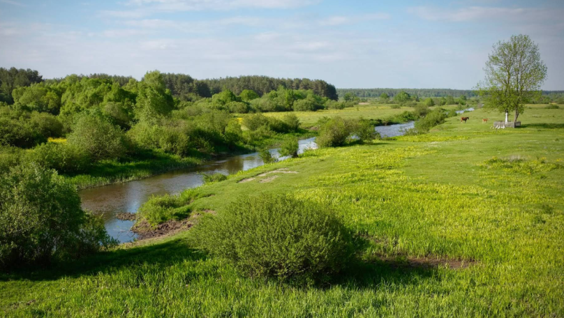 Громаді на Львівщині повернули водонапірну башту та будівлі колишнього сільгосппідприємства