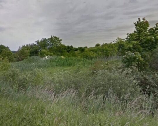 Львів остаточно повернув 1,6 га землі у Лисиничах