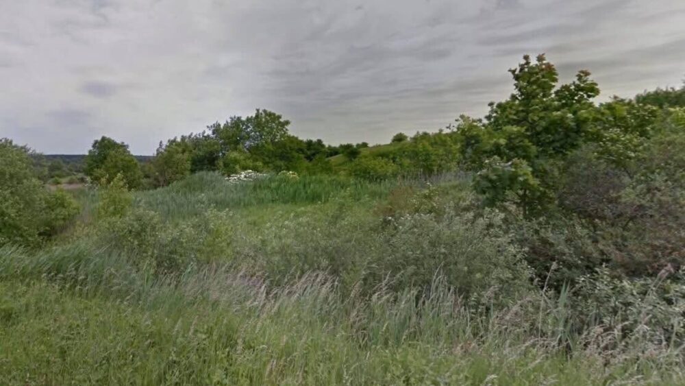 Львів остаточно повернув 1,6 га землі у Лисиничах