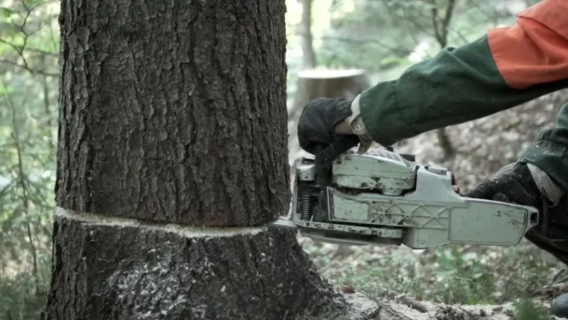 У Сколівському районі заступника директора спортивної бази «Динамо» визнали винним у травмуванні працівника