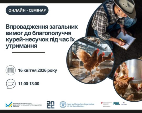Держпродспоживслужба запрошує на онлайн-семінар щодо нових вимог благополуччя для курей-несучок
