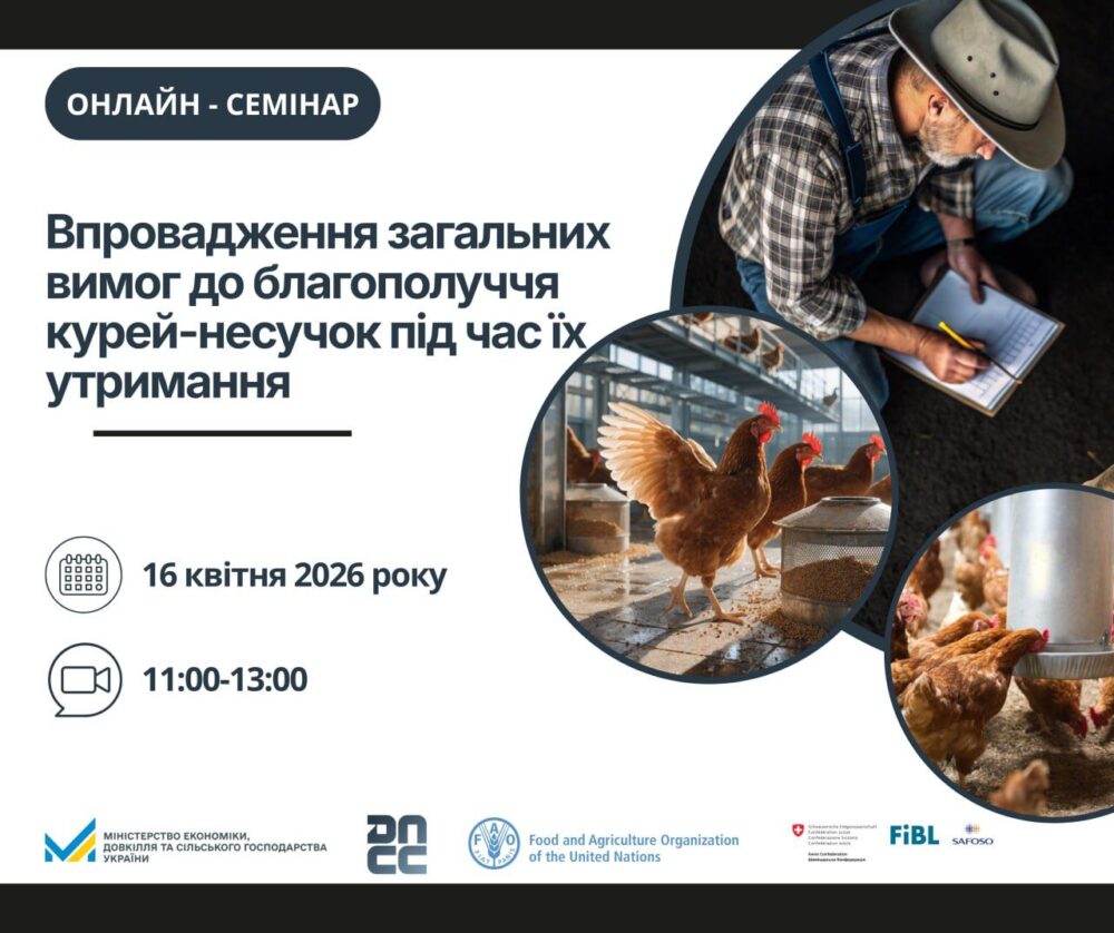 Держпродспоживслужба запрошує на онлайн-семінар щодо нових вимог благополуччя для курей-несучок