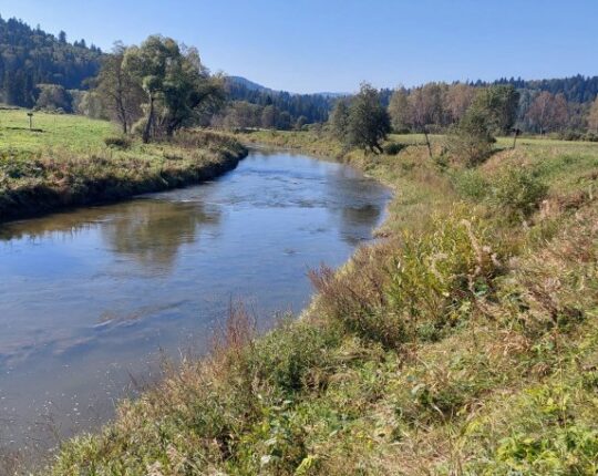 Суд передав у власність громади греблю та водоскид поблизу Львова