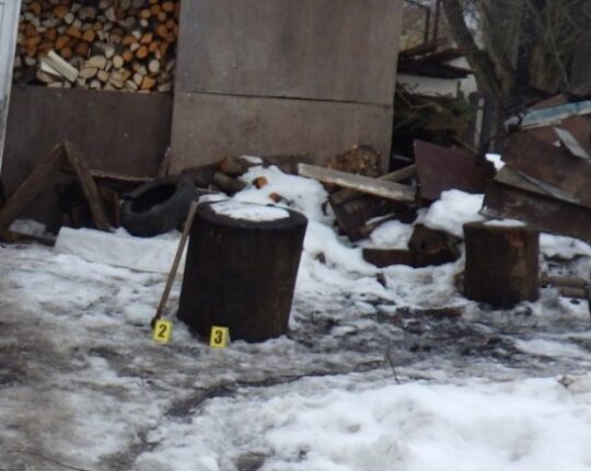 Мешканець Львівщини отримав підозру за жорстоке убивство кота