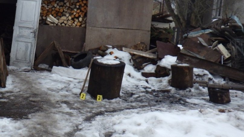 Мешканець Львівщини отримав підозру за жорстоке убивство кота