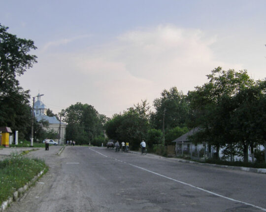 Суд зобов’язав Меденицьку селищну раду створити орган з охорони культурної спадщини