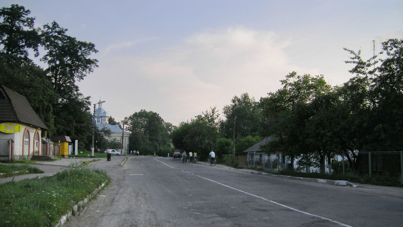 Суд зобов’язав Меденицьку селищну раду створити орган з охорони культурної спадщини