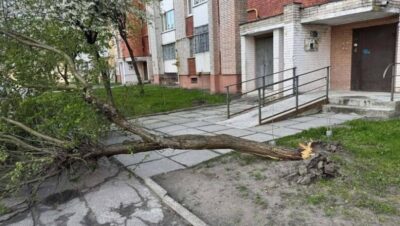 Повалені дерева, пошкоджені авто та знеструмлення: Львівщина оговтується від негоди