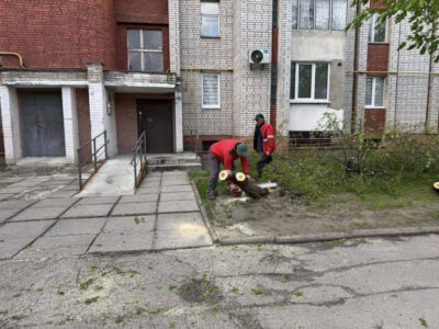 Повалені дерева, пошкоджені авто та знеструмлення: Львівщина оговтується від негоди