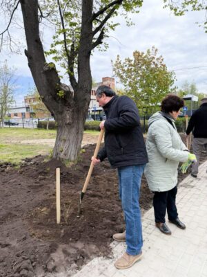 У Львівському госпіталі ветеранів висадили троянди на честь Юрія Липи (фото)