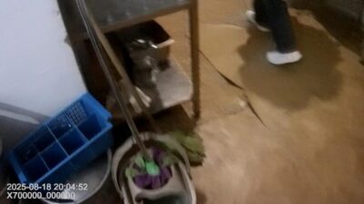 Суд підтримав рішення Держпродспоживслужби щодо штрафу за порушення, які призвели до отруєння дітей (фото)