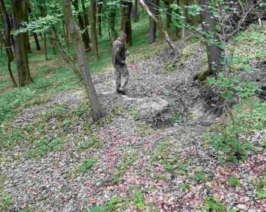 На Львівщині завершилась весняна кампанія з пероральної імунізації диких м’ясоїдних тварин (фото)