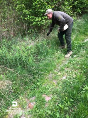 На Львівщині завершилась весняна кампанія з пероральної імунізації диких м’ясоїдних тварин (фото)