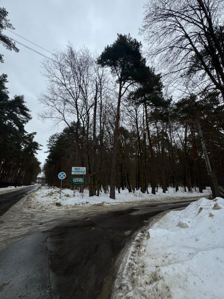Львівська прокуратура вимагає скасувати дозвіл на забудову понад 13 га брюховицького лісу