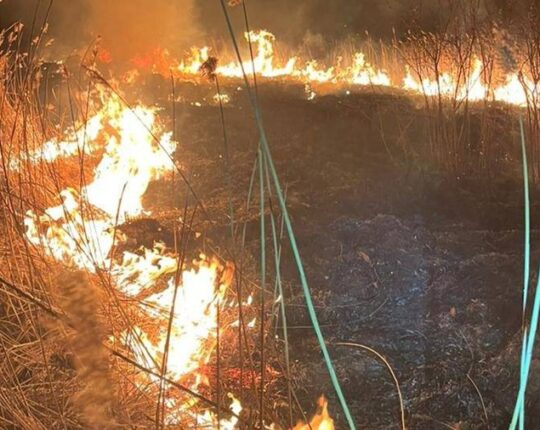 На Львівщині за добу через пожежі в екосистемах згоріло 6 га землі