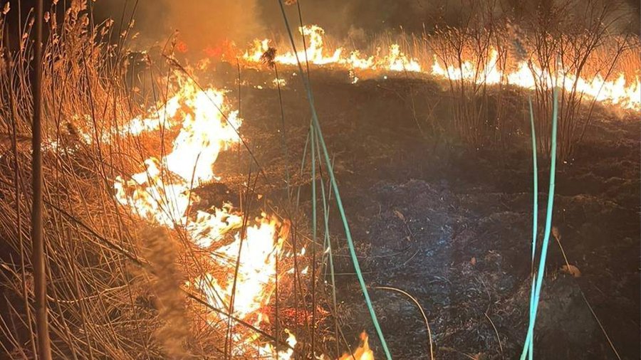 На Львівщині за добу через пожежі в екосистемах згоріло 6 га землі