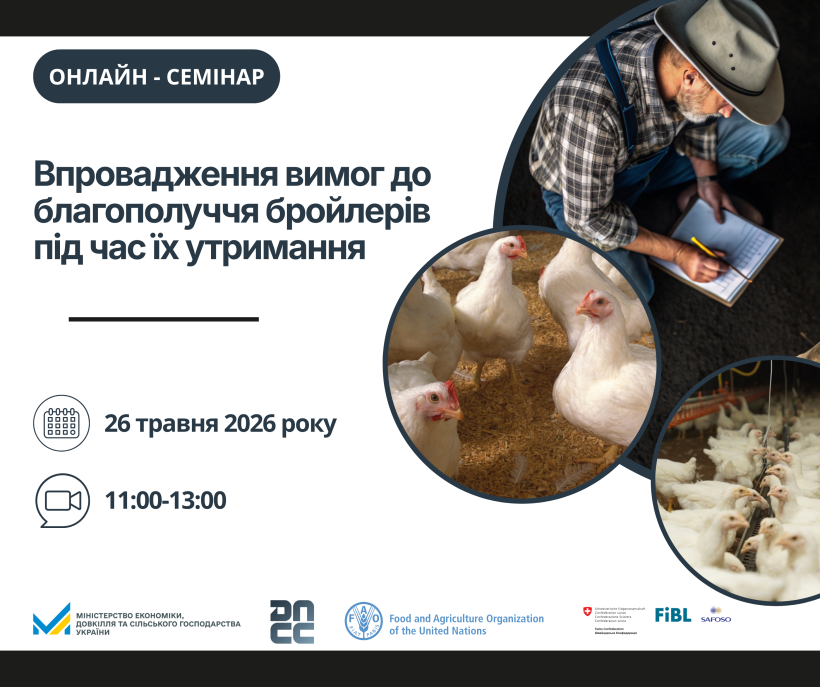 В Україні обговорять впровадження євростандартів із благополуччя бройлерів