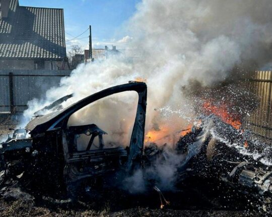 На Львівщині судили матір хлопчика, який підпалив сухостій і спричинив пожежу Tesla