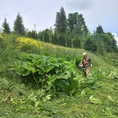 На Львівщині фахівці меморіально-пошукового центру «Доля» упорядкували військові меморіали (фото)