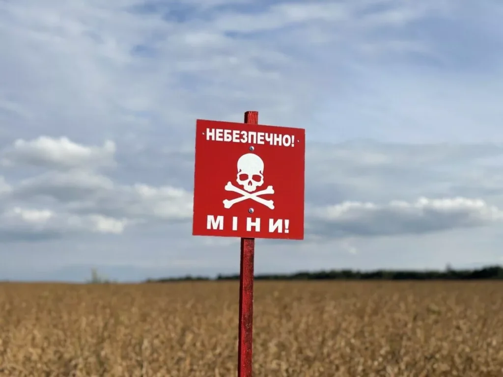 На Львівщині знайшли ящик із детонаторами та мінометну міну часів Другої світової