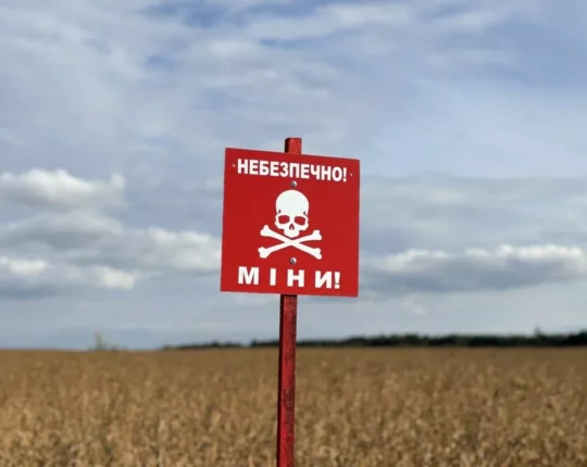 На Львівщині знайшли ящик із детонаторами та мінометну міну часів Другої світової
