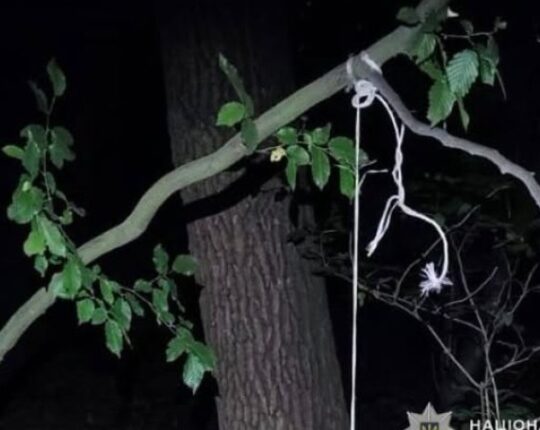 Мешканець Львівщини повісив на дереві сусідського собаку