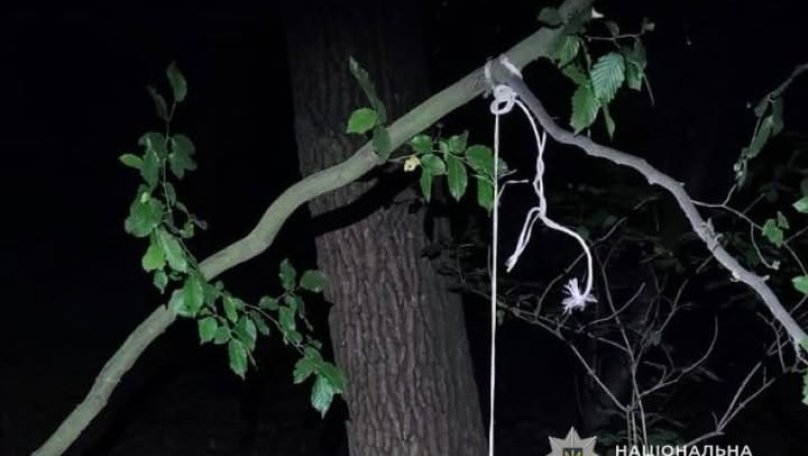 Мешканець Львівщини повісив на дереві сусідського собаку