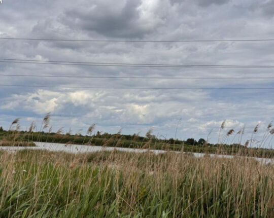 Стрийській громаді повернули понад 53 га земель водного фонду після розірвання незаконної оренди