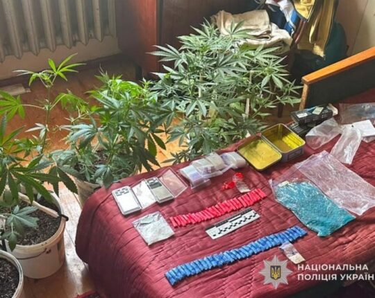 На Львівщині під час спецоперації «Джентльмени» викрили наркогрупу та вилучили сотні кущів конопель