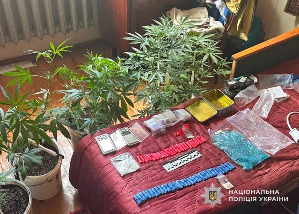 На Львівщині під час спецоперації «Джентльмени» викрили наркогрупу та вилучили сотні кущів конопель