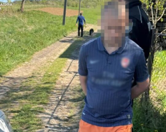 На Львівщині чоловік убив 79-річну матір через сварку за кошенят