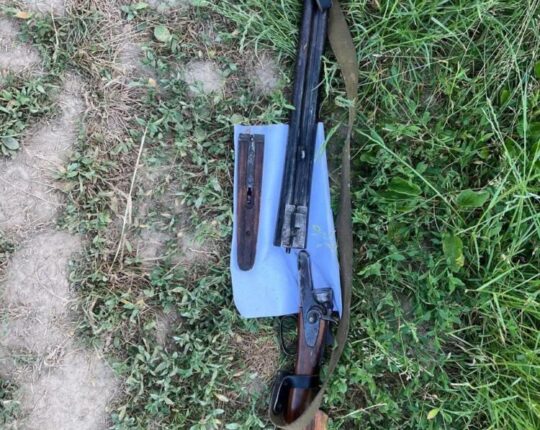 На Львівщині браконьєр сплатить тисячу гривень штрафу за впольовану самку кабана