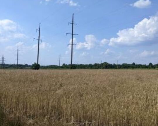 Кооператив поверне Львову понад 2,5 гектара землі, отриманої перед ліквідацією Рясне-Руської сільради