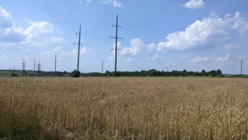 Кооператив поверне Львову понад 2,5 гектара землі, отриманої перед ліквідацією Рясне-Руської сільради