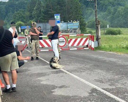 На Львівщині затримали майора Нацгвардії, який віз трьох ухилянтів до кордону