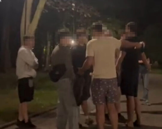 У Скнилівському парку двоє нетверезих чоловіків влаштували бійку з підлітками