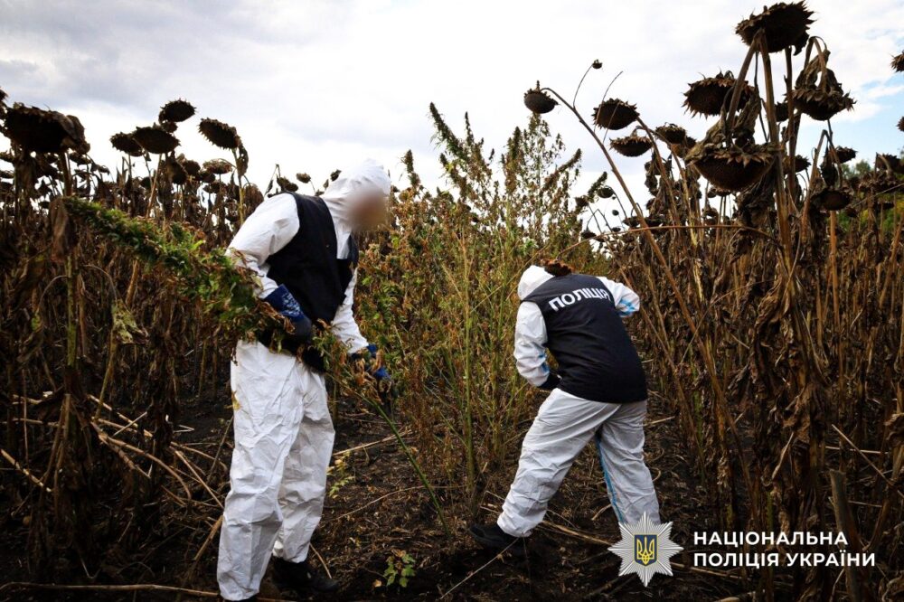 На Львівщині провели 25 обшуків у межах спецоперації «Джентльмени»