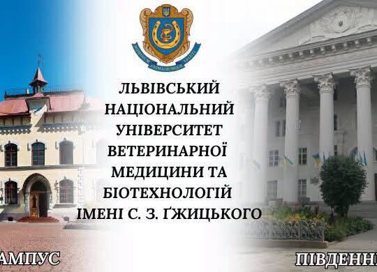 У Львівському ветуніверситеті прокоментували проведення слідчих дій