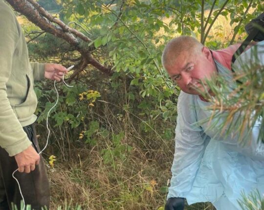 На Львівщині завершили осінню кампанію вакцинації диких тварин проти сказу