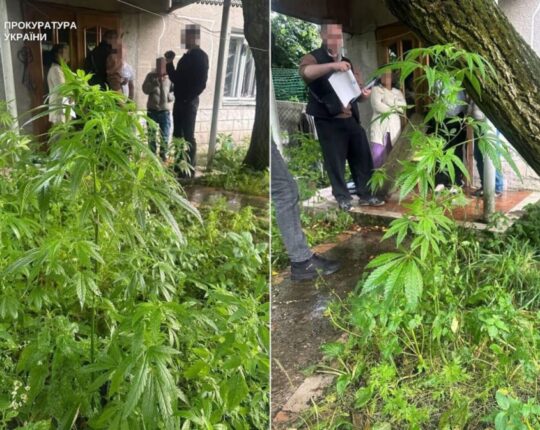 Наркотики ховали в печиві та сирі: на Львівщині судитимуть двох чоловіків за постачання метадону до колонії