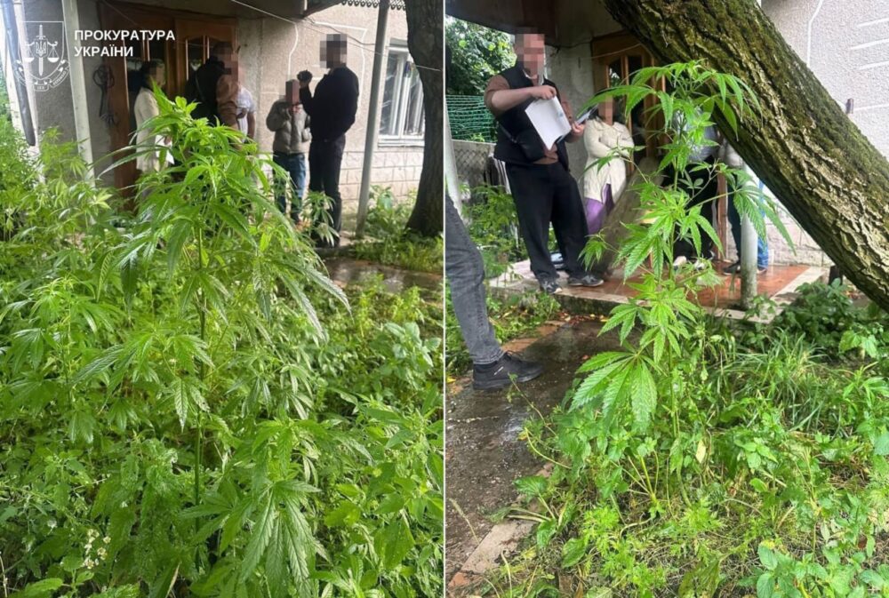 Наркотики ховали в печиві та сирі: на Львівщині судитимуть двох чоловіків за постачання метадону до колонії