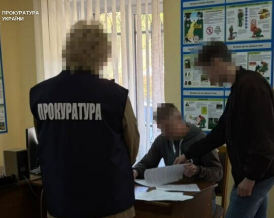 На Стрийщині у заказнику незаконно зрубали 28 ялин