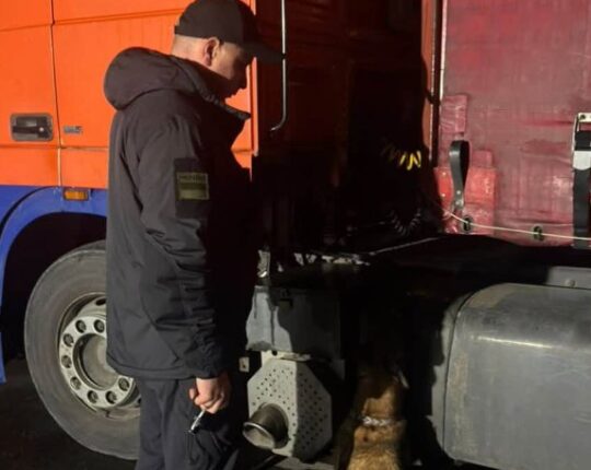 На кордоні з Львівщиною собака винюхав сигарети, які везли на продаж до Польщі